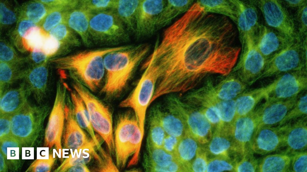 Pioneering cancer drug combination approved