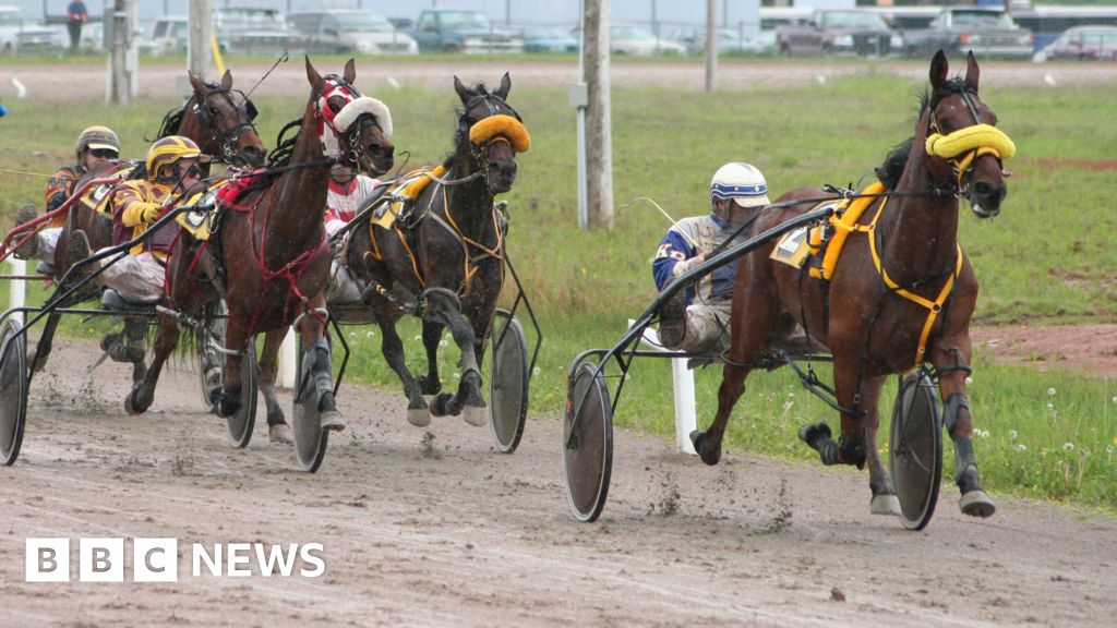 Horse racing track next to Battle of Bannockburn site sparks conservation row