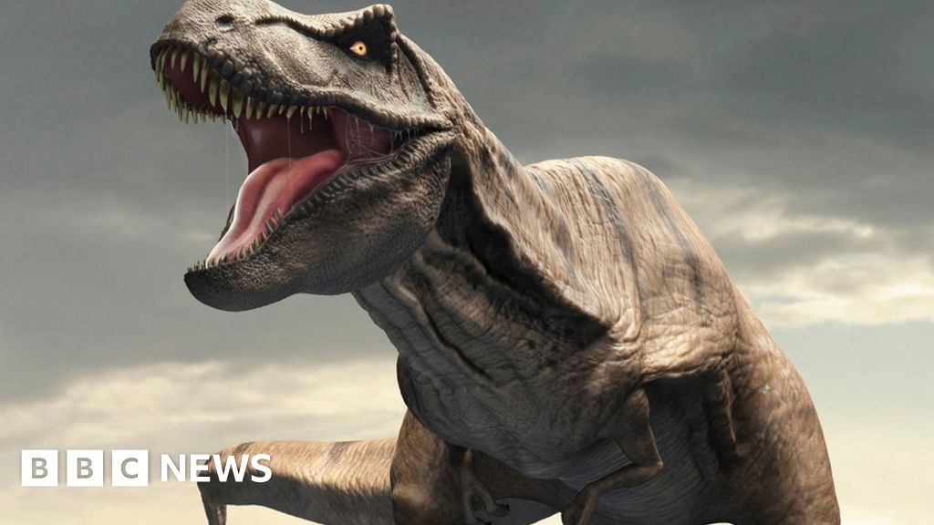 Tyrannosaurus rex had 'air-con' in its head