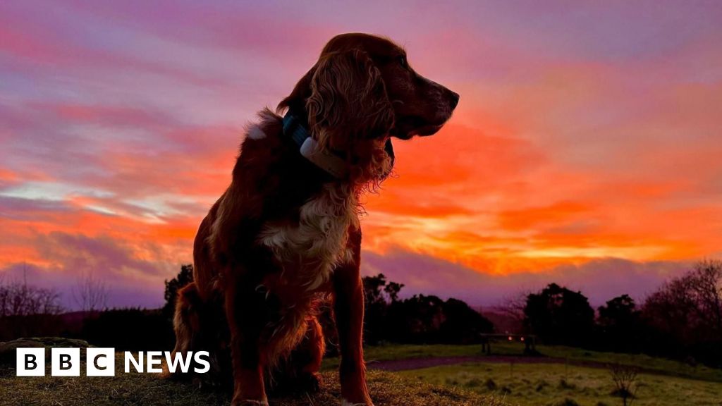 In pictures: Fiery sunsets and UFO-like clouds