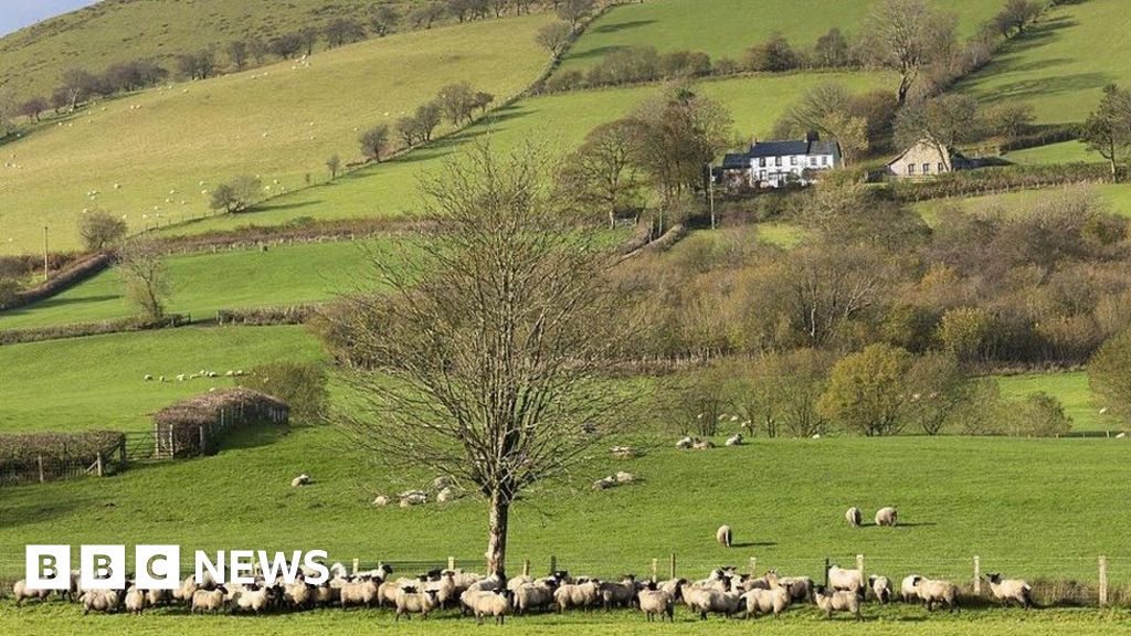 Scrapping tax relief could 'breakup' Welsh family farms union