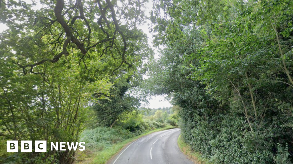 Two arrested after man dies in suspected hit-and-run