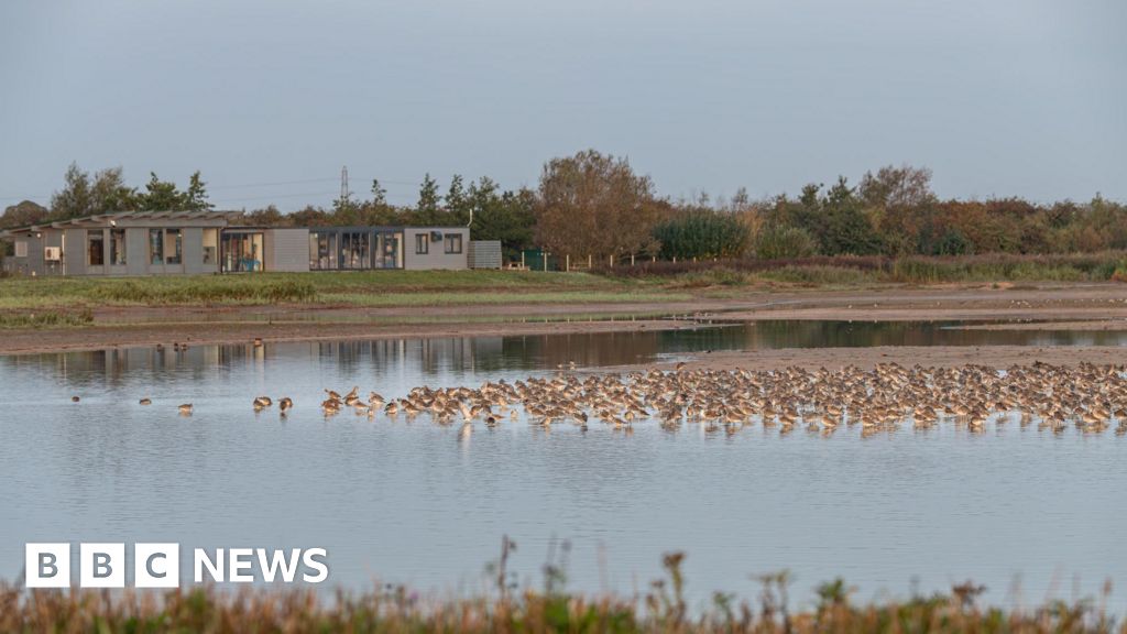 Parking charges introduced at RSPB Frampton Marsh 