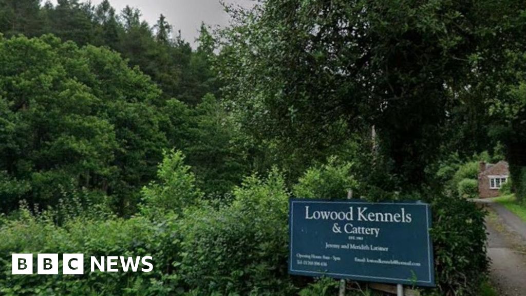 Lowood Kennels plans art gallery in workshop