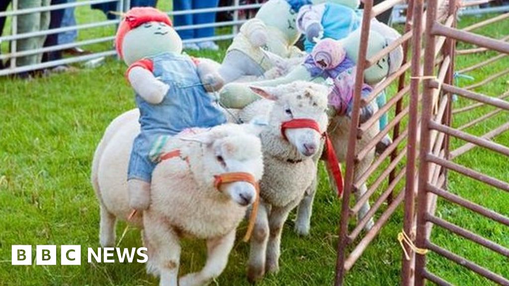 'Cruel' sheep race pulled from Woodditton village fete BBC News