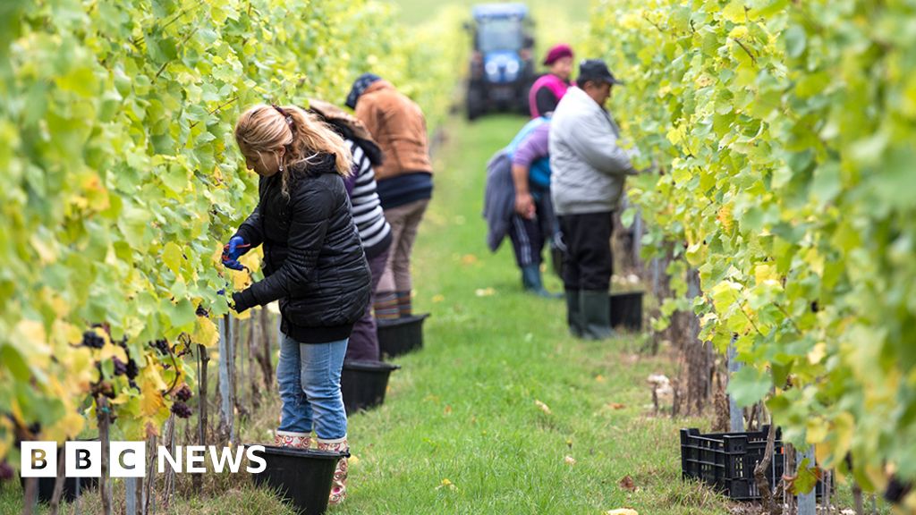 migrant-fruit-pickers-are-skilled-workers-says-ex-minister-george-eustice