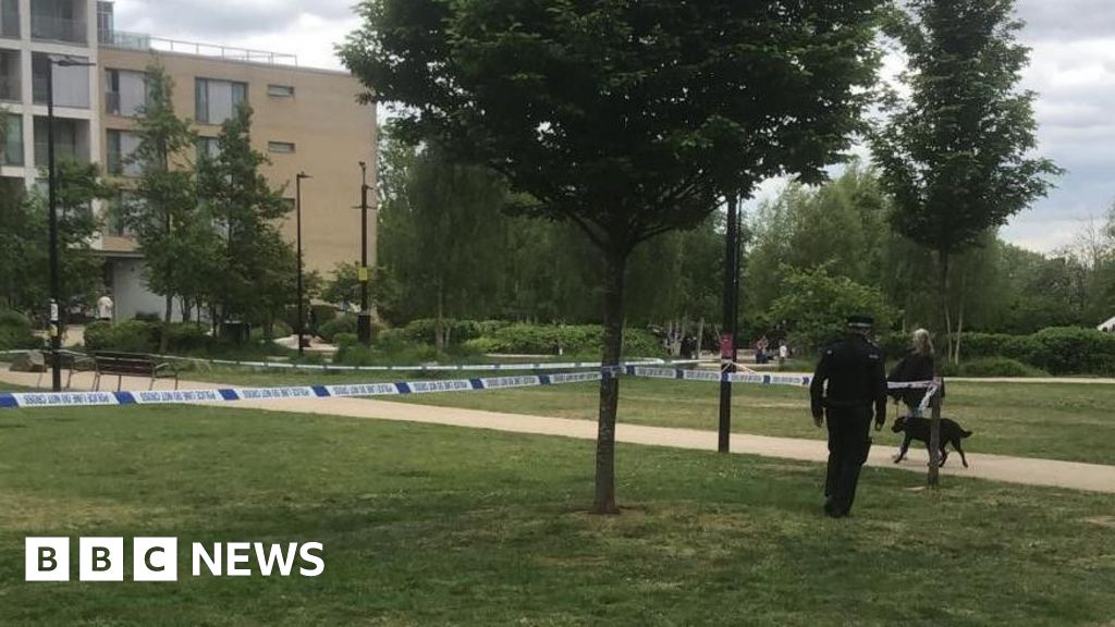 Man charged with murder and robbery of 87-year-old