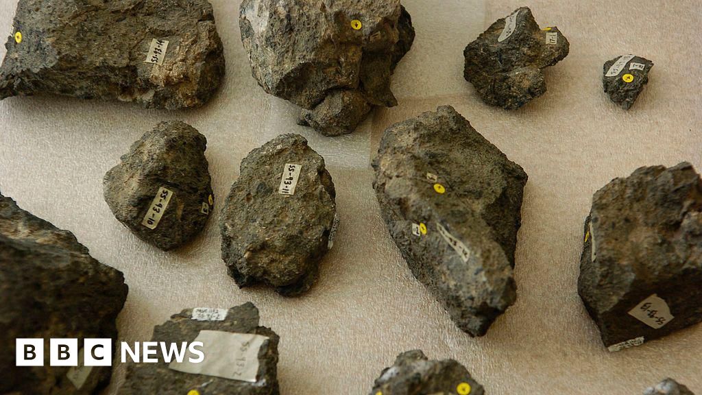 Poo museum: New ‘Poozeum’ displays record fossilised collection