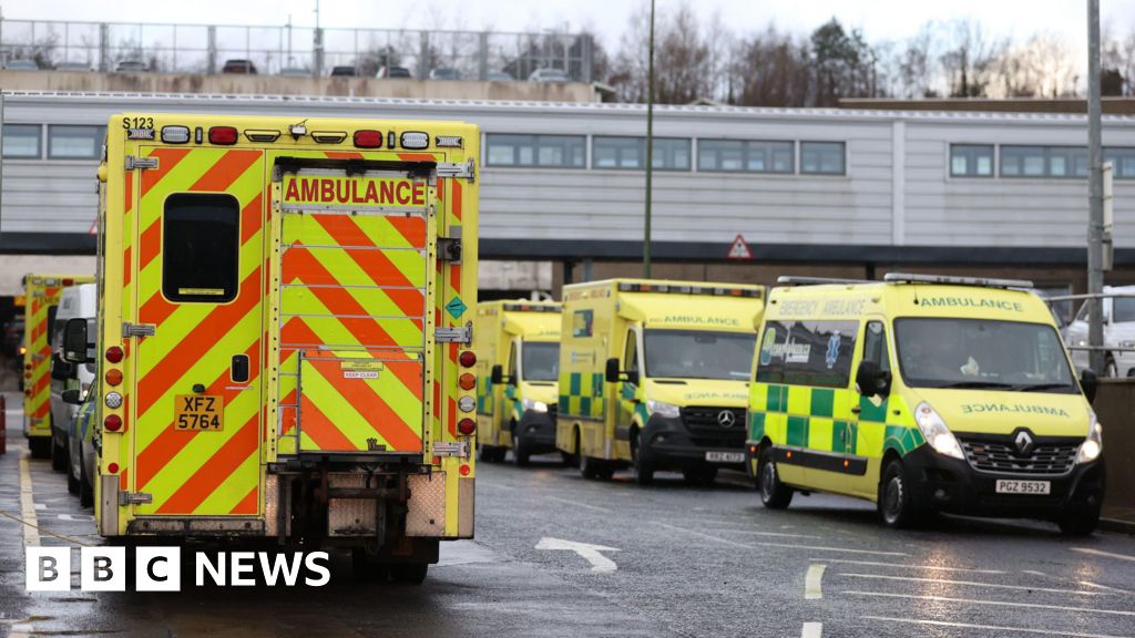 Waiting times: Patients avoiding hospital over lengthy ED waits
