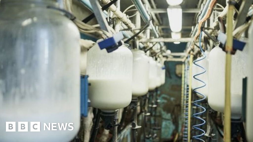 Northern Ireland food and drink sector worth £5bn a year BBC News