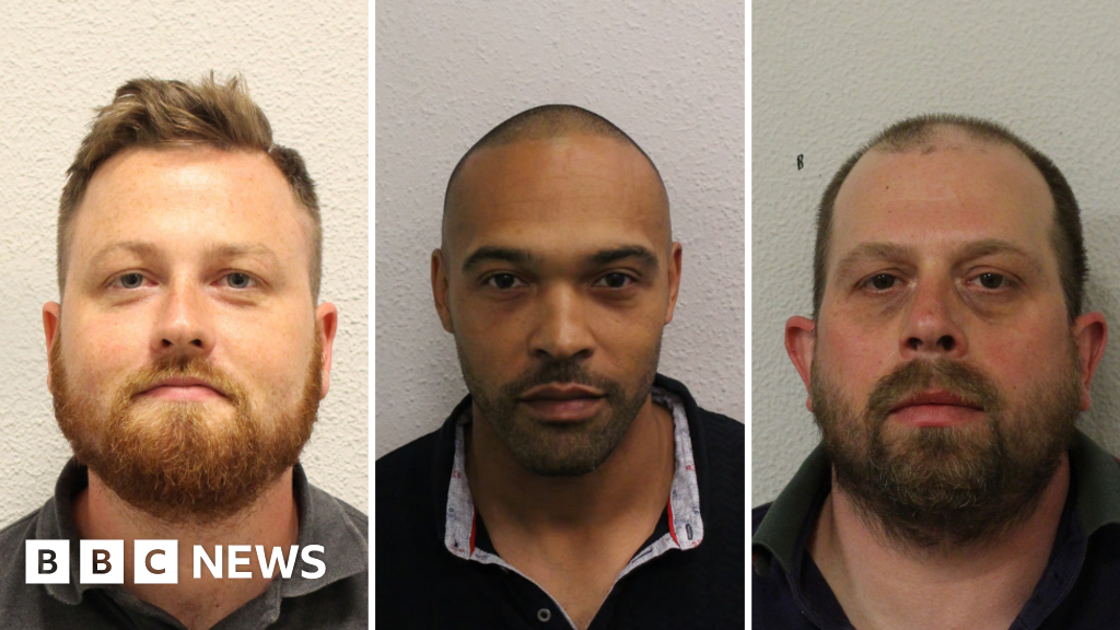 Museum burglars guilty of cage fighter murder plot