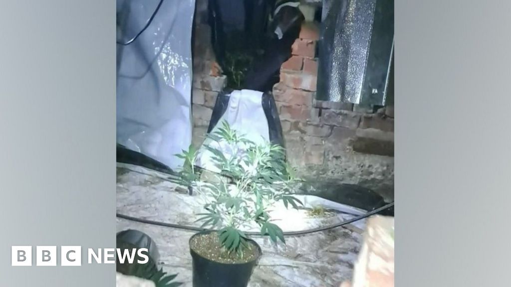 Gateshead cannabis farm found in tunnels under trapdoor