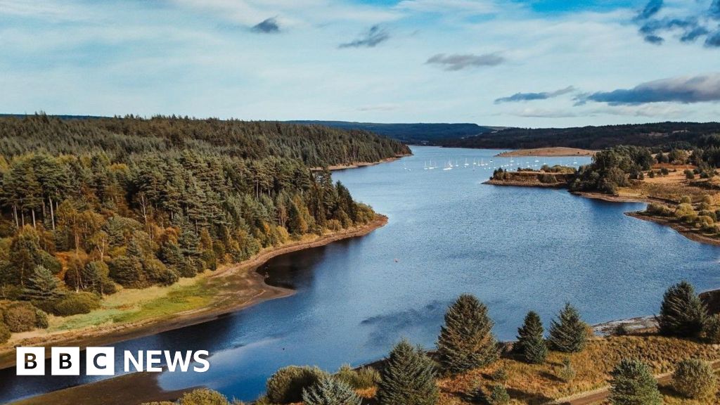 Kielder Forest marks the centenary of its first planting