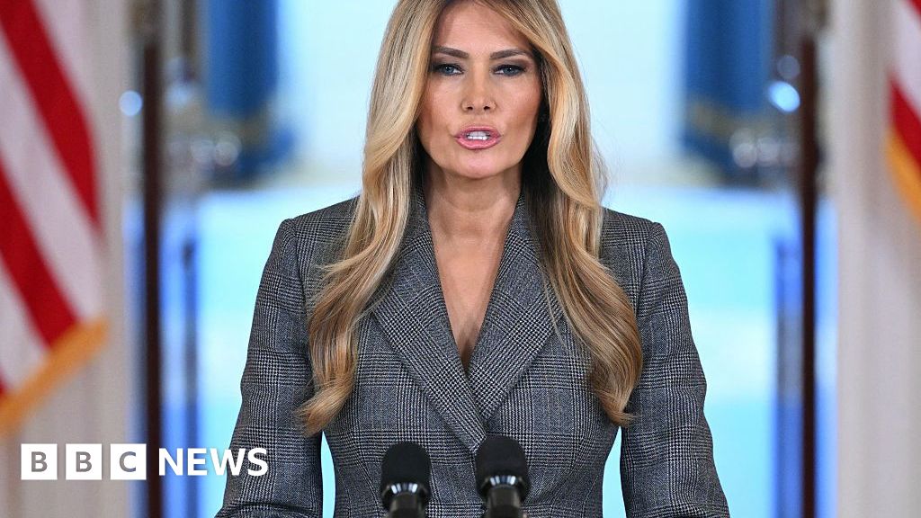 Melania Trump: 'I never had a relationship with Epstein'