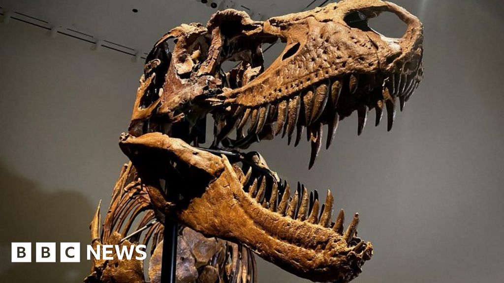 Gorgosaurus: Ancient dinosaur skeleton sells for $6m at auction