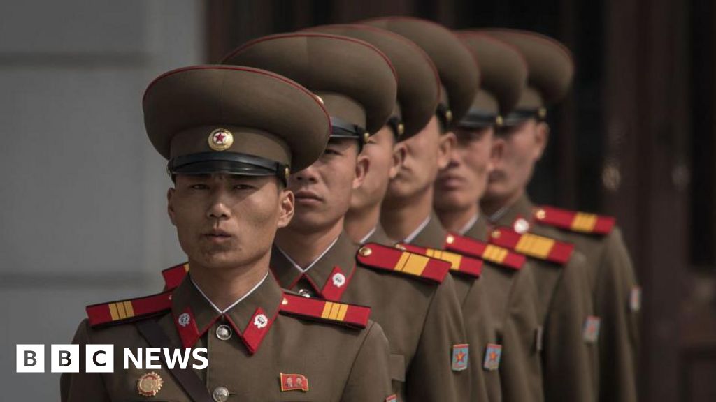 North Korean troops in Russia not to be underestimated, ex-soldiers tell BBC