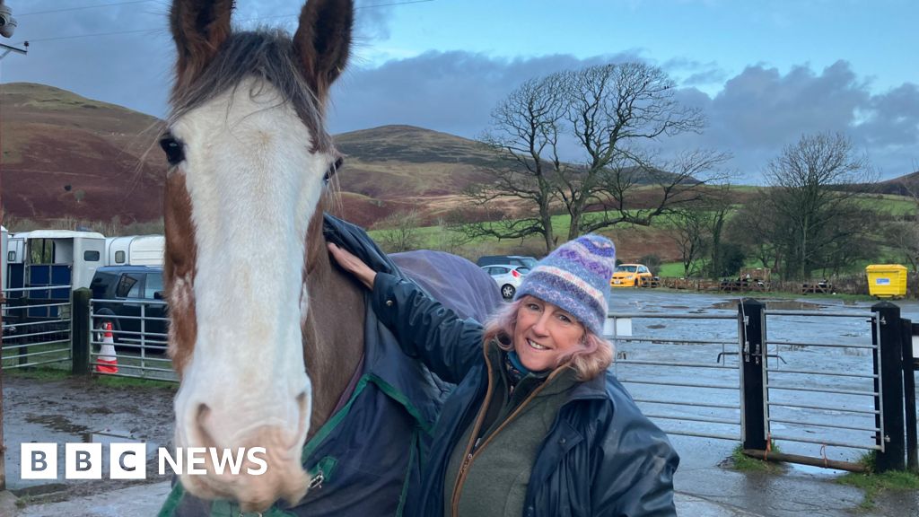 Cumbrian Heavy Horses riding centre under threat of closure
