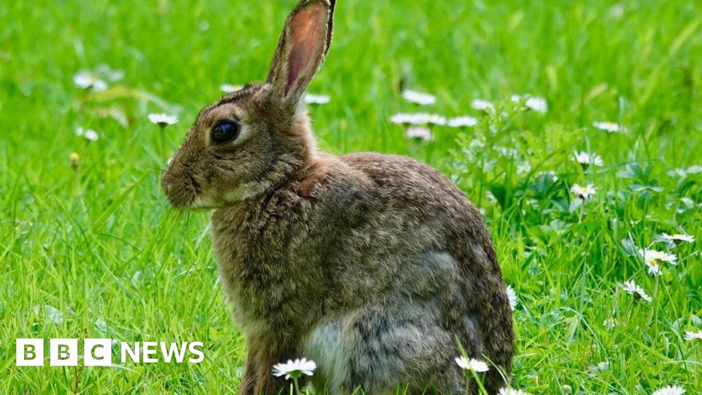 Our favourite images of the week from Kent - BBC News