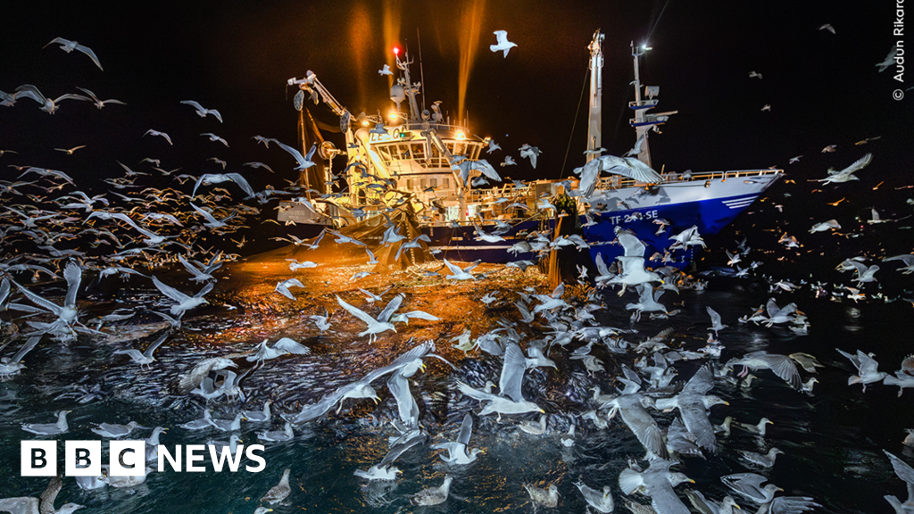 2025 Wildlife Photographer of Year Exhibition Tours UK Venues
