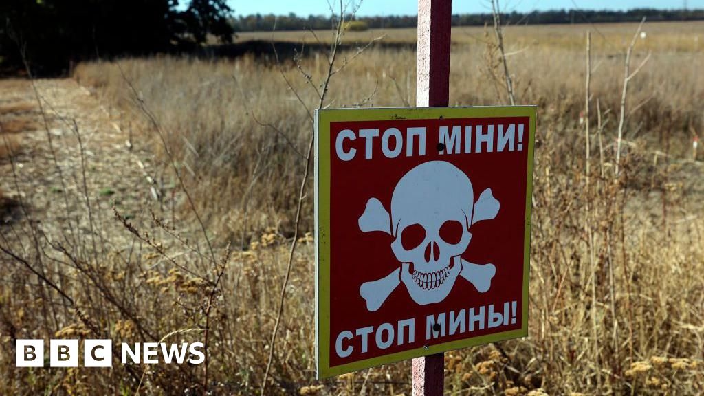 Poland and the Baltic states have announced plans to withdraw from a key international treaty banning anti-personnel landmines, citing the rising thre