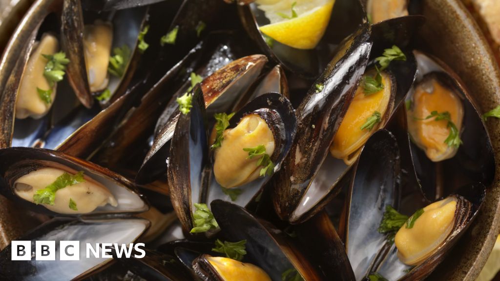 Brexit: Welsh Shellfish producers facing block on exports to EU - BBC News