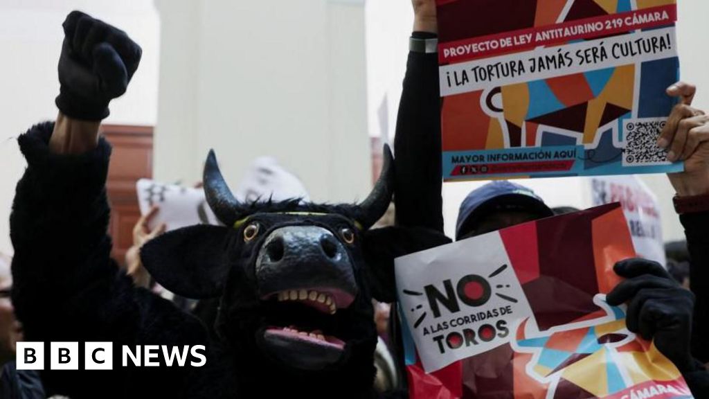 Colombian Congress votes to ban bullfighting