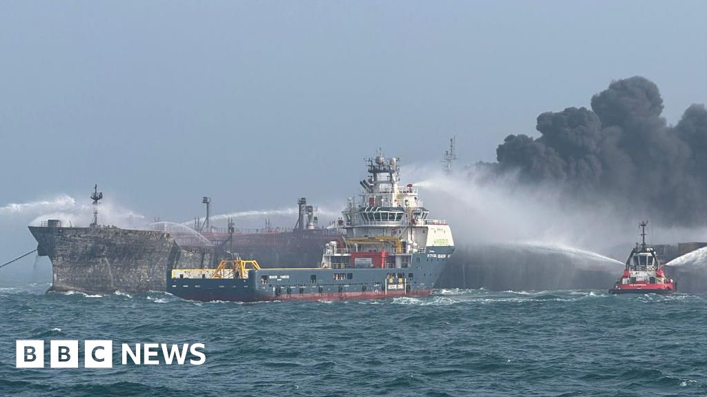 How North Sea tanker crash could impact wildlife-rich coastline