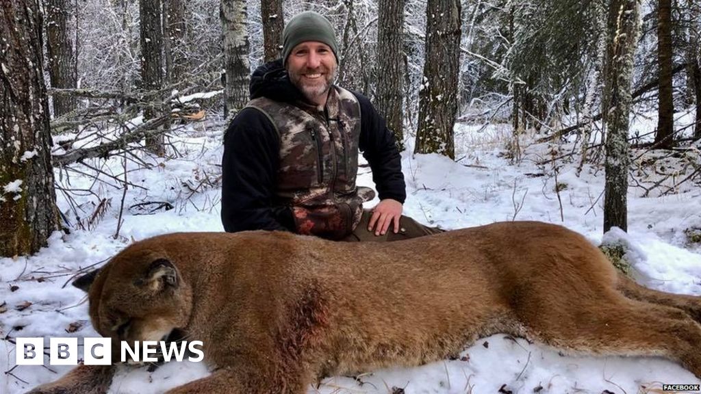 Canada Tv Personality Steve Ecklund Shoots Cougar Sparking Backlash