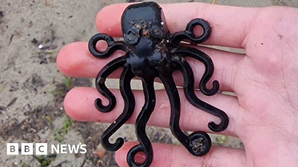 Rare Lego octopus found on beach after 27 years