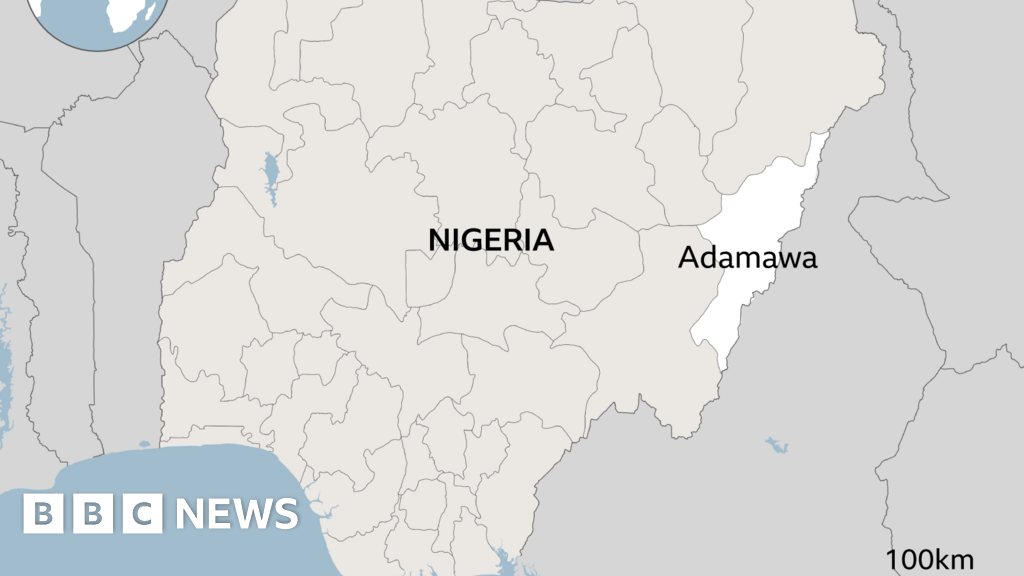 A Tragic Echo: IS Claims Deadly Attack in Nigeria