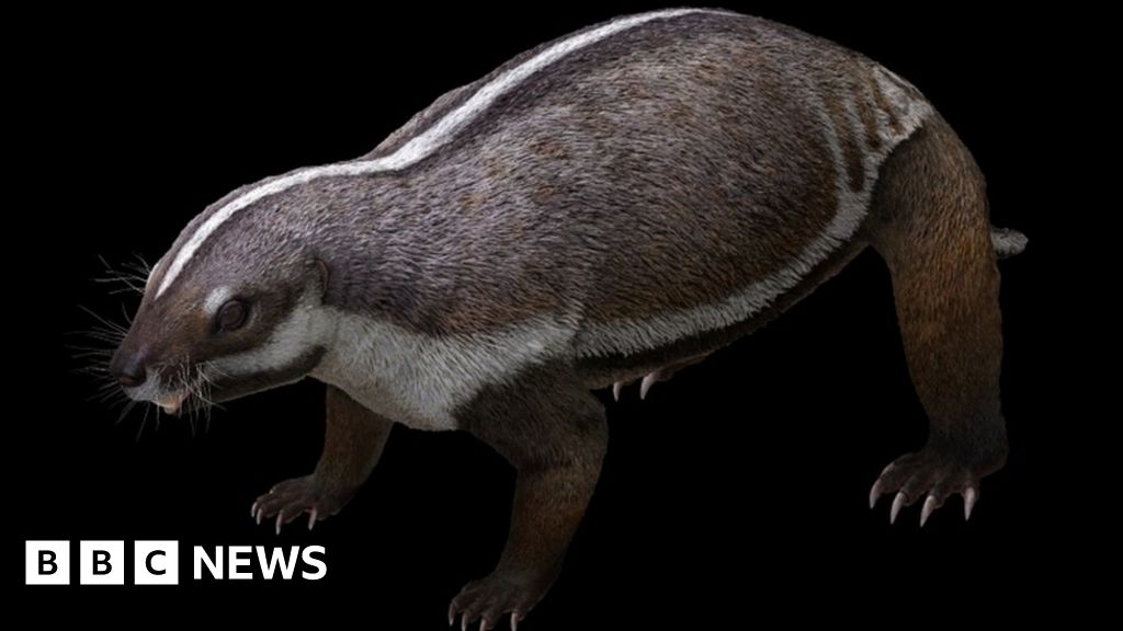 'Crazy beast' lived among last of dinosaurs
