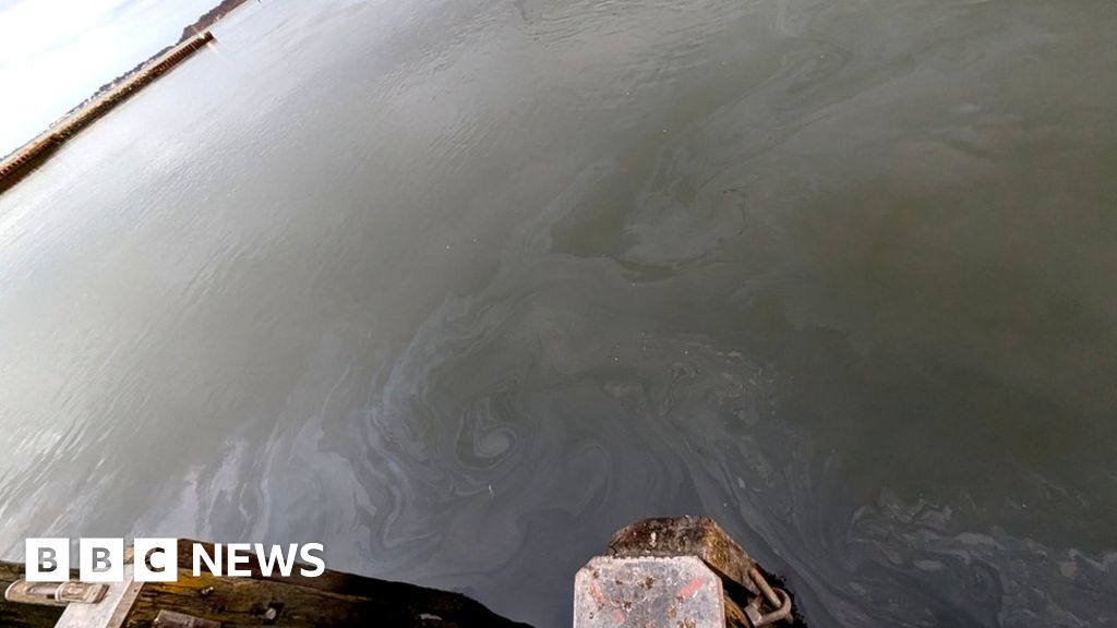 Poole Harbour: 200-barrel fluid leak unacceptable – council leader – NewsEverything England
