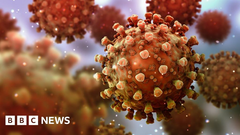 Coronavirus Immunity Can You Catch It Twice Bbc News