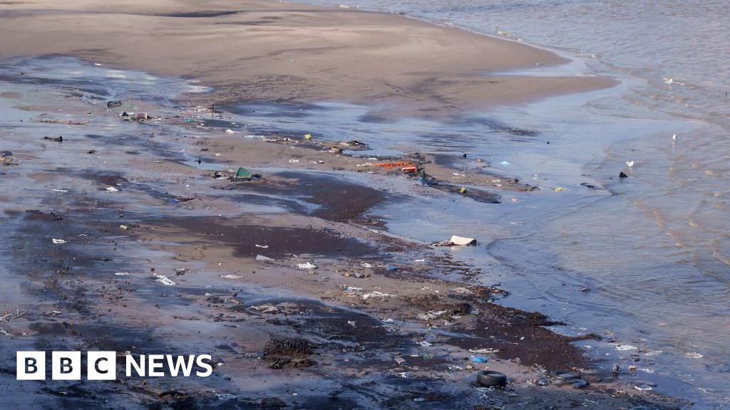 Money pledged to clean London's 'damaged' rivers