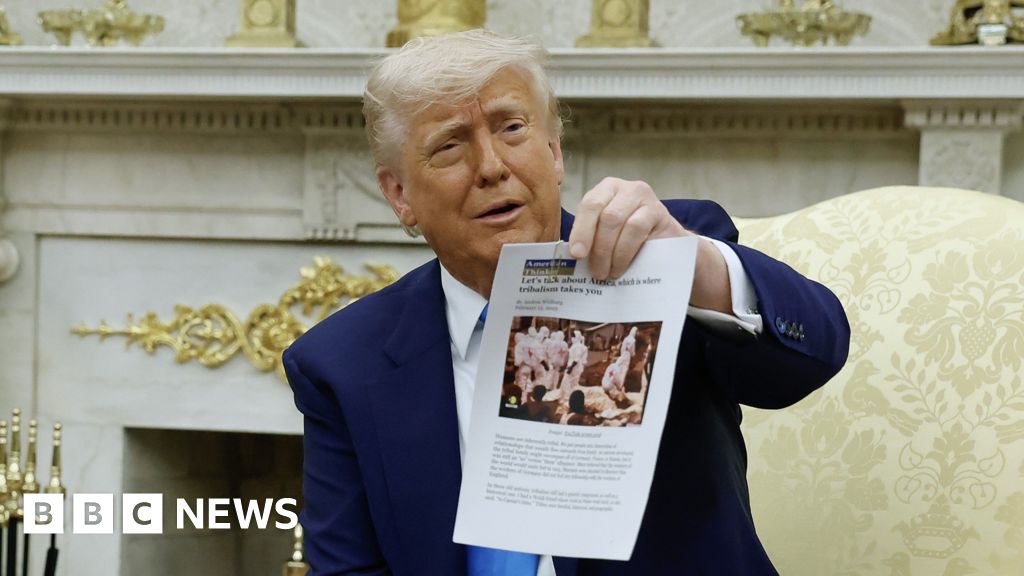 Trump 'white persecution' claims expose South Africa's divisions