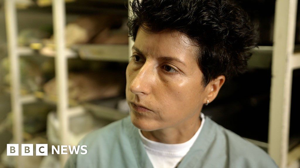 Srebrenica: A scientist's long quest to name the dead