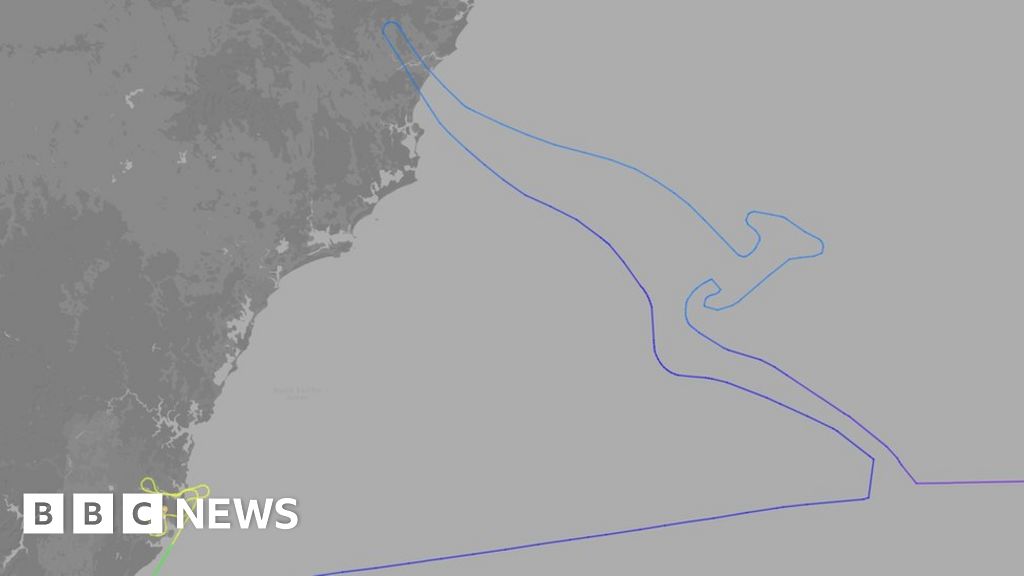 Last Qantas 747 jet says goodbye with 'flying kangaroo' in sky