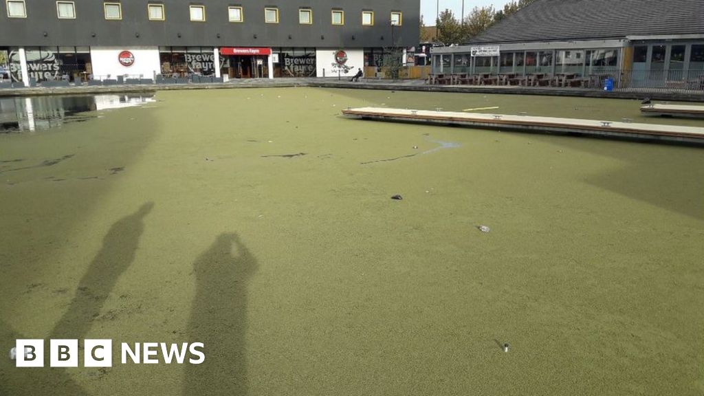 www.bbc.co.uk