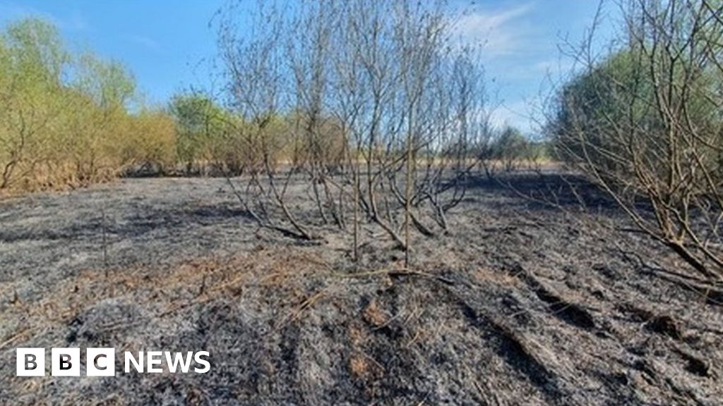 Wildfires: Firefighters on high alert and warnings issued