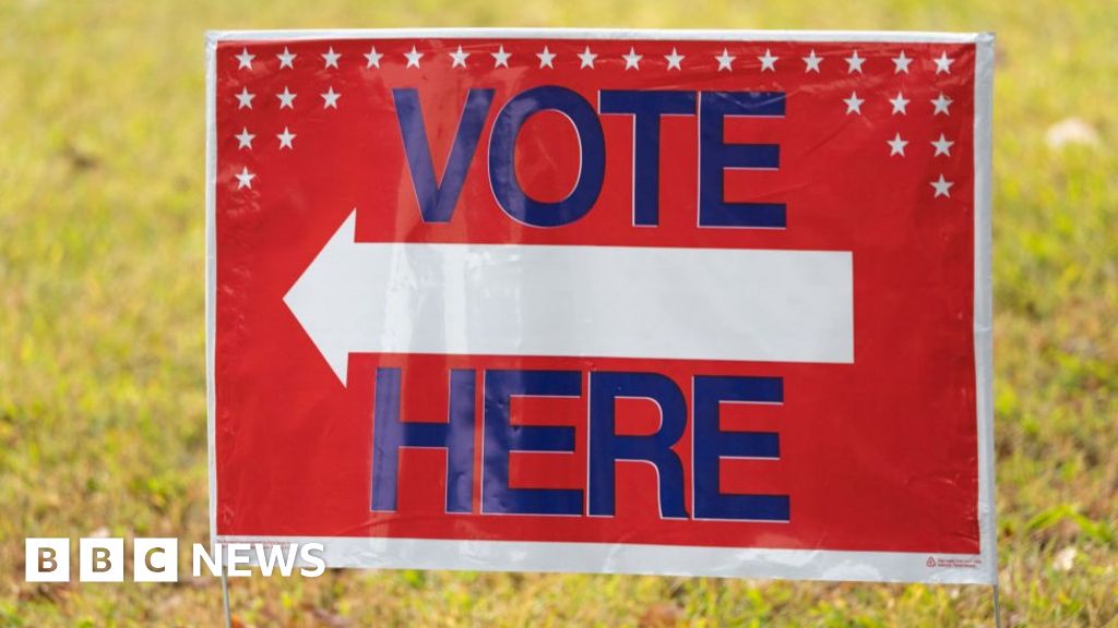 US midterm elections: Record turnout as early voting starts in Georgia