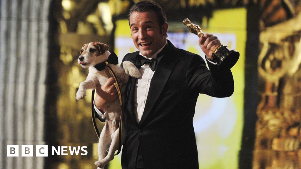 Uggie, canine star of The Artist, put to sleep BBC News