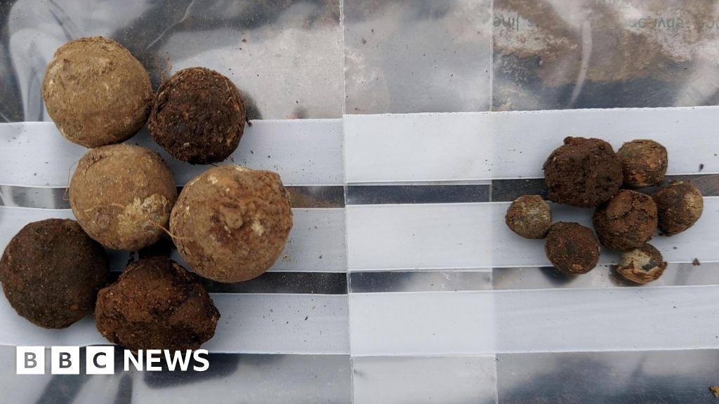 Culloden Discoveries May Unveil Heroic Tales of Jacobite Valor