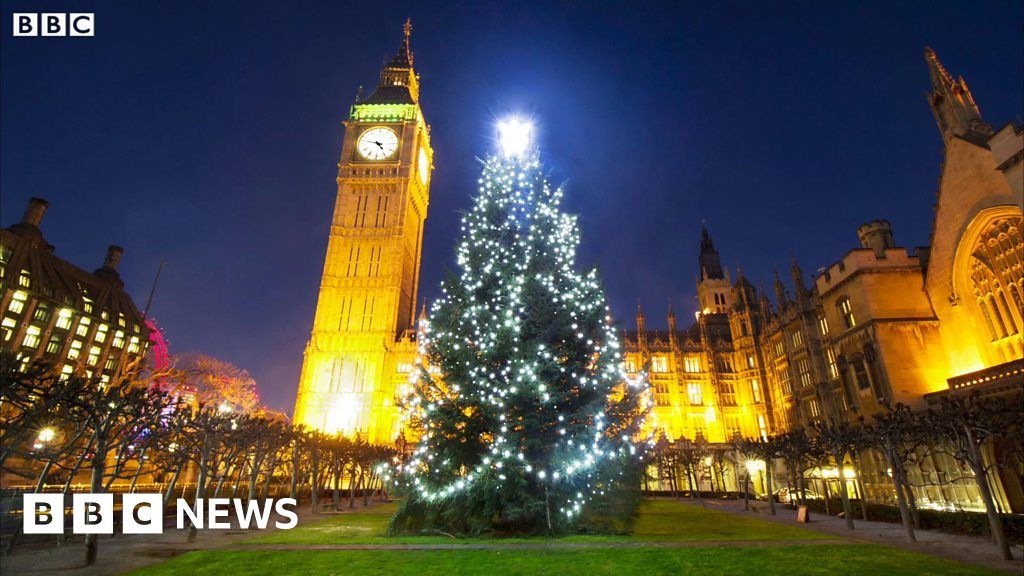 Westminster Christmas tree's journey from Kielder Forest BBC News