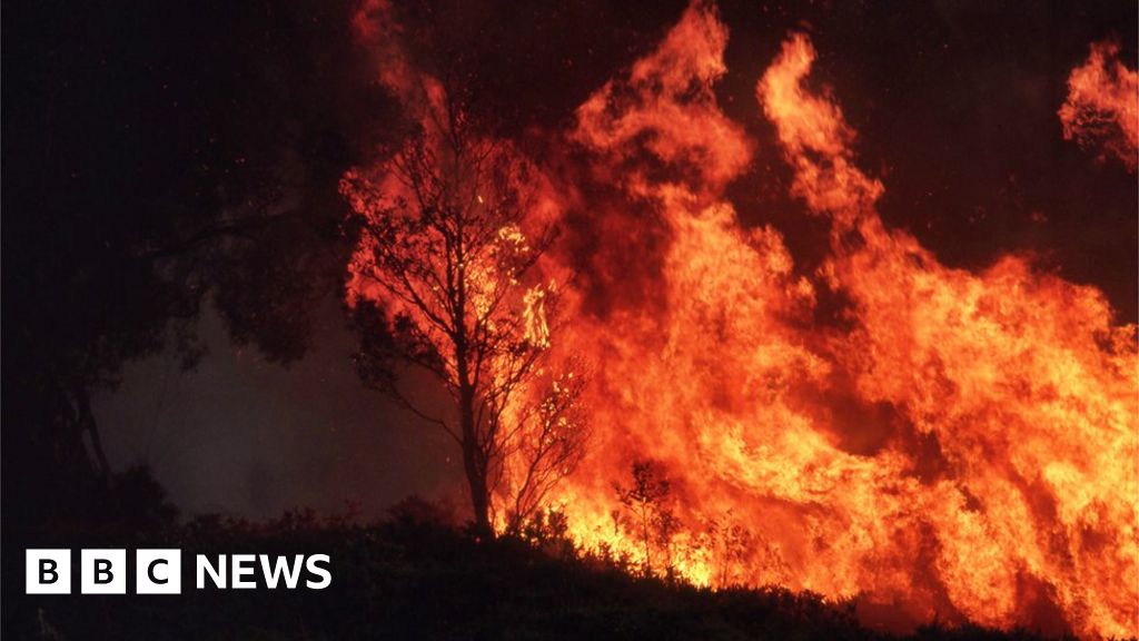 Climate change: Australia fires will be 'normal' in 3C world - BBC News