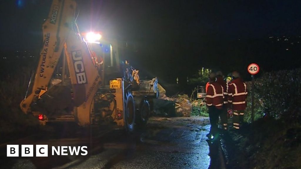 Man dies after tree falls on van in Carmarthenshire