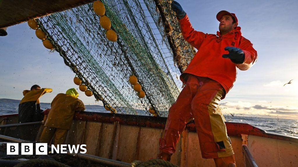 Brexit: If The Boat Comes In - BBC News