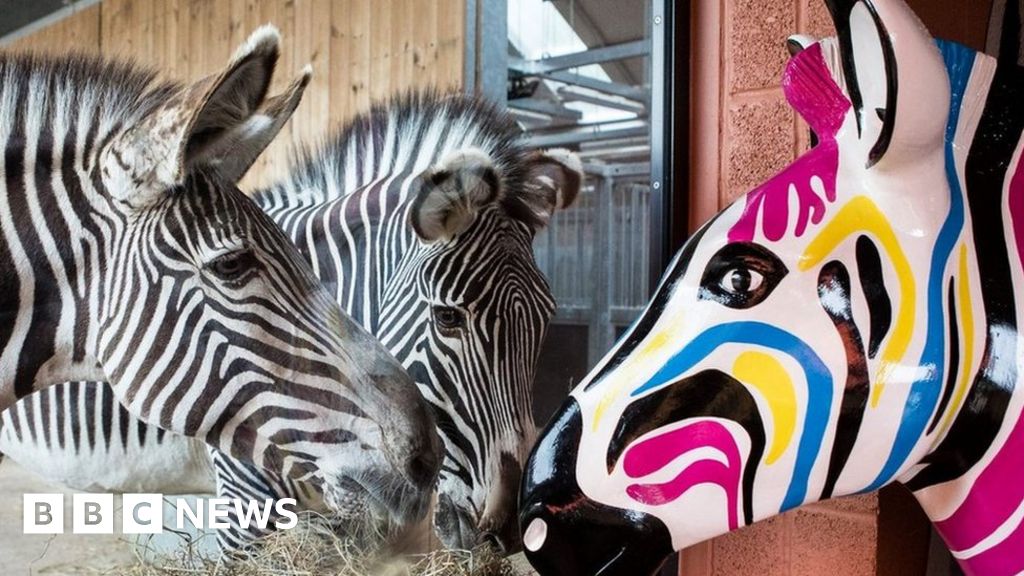 Stolen Southampton zebra sculpture leads art trail parade BBC News