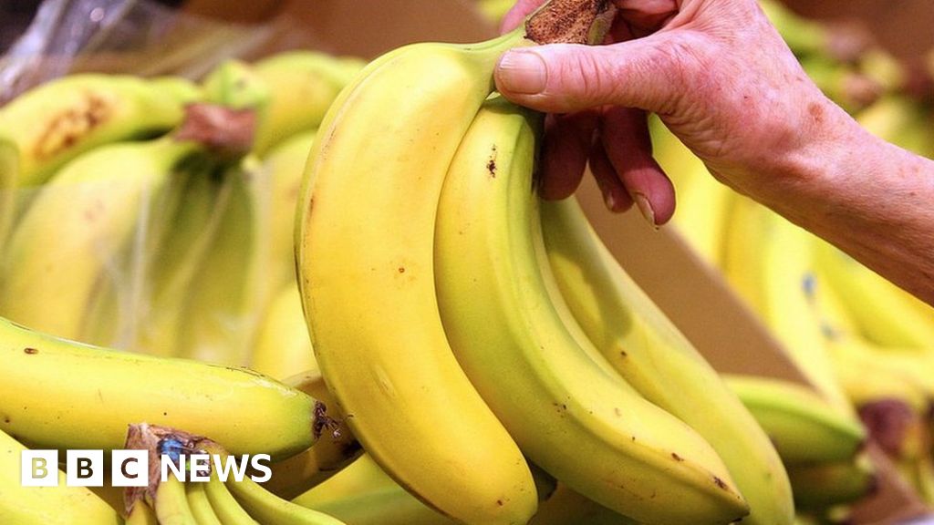 専門家らは気温が上昇するとバナナの価格が上昇すると言う