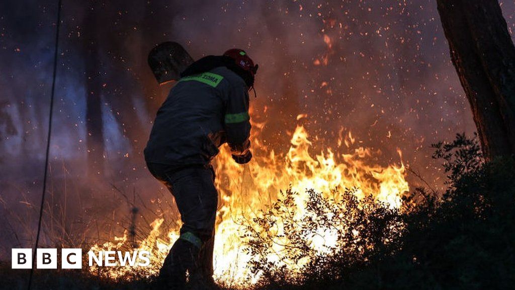 Europe wildfires: Are they linked to climate change?