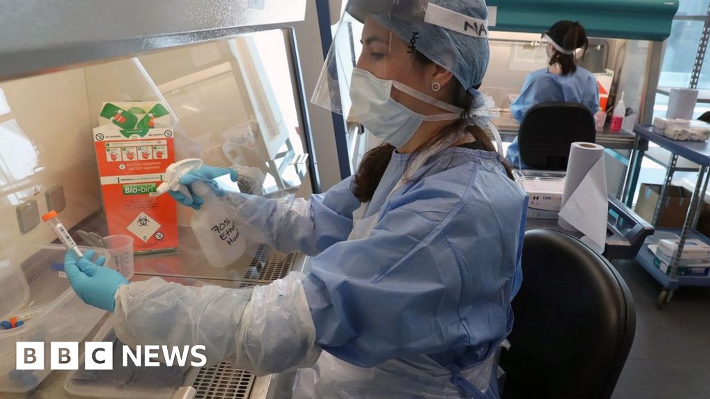 Coronavirus Mass Testing Earlier Would Have Been Beneficial BBC News